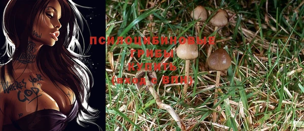 Альфа ПВП Абдулино